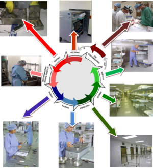The decontamination life cycle at glance.png