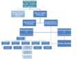 Idealised health technology department structure.png