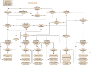 NV-Decision Tree1.png